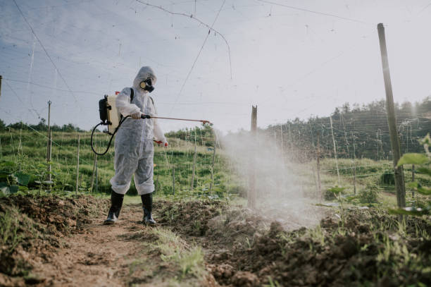 Best Ant Control Services  in Tremont, IL