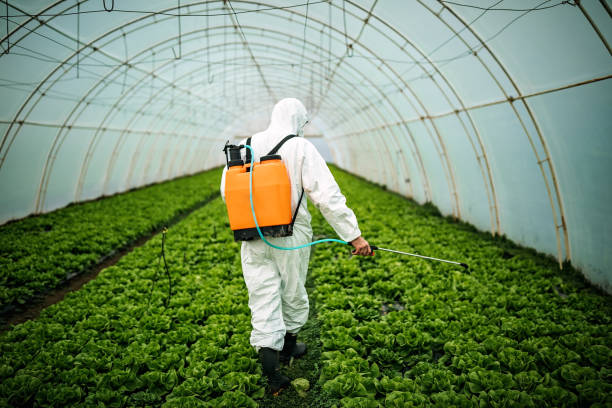 Best Pest Removal Services  in Tremont, IL