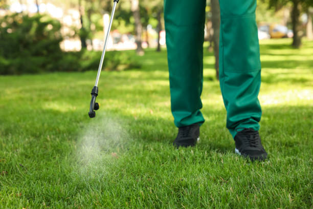 Best Affordable Pest Control Services  in Tremont, IL