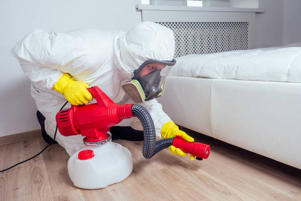 Best Pest Control Near Me in Tremont, IL