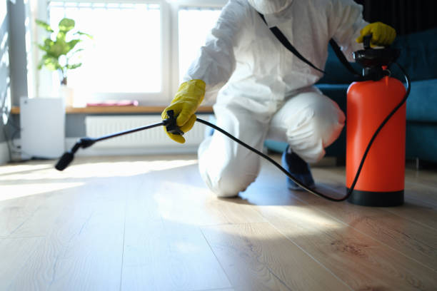 Best Local Pest Control Services  in Tremont, IL