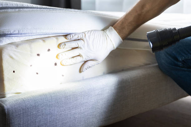 Best Wildlife Control Services  in Tremont, IL
