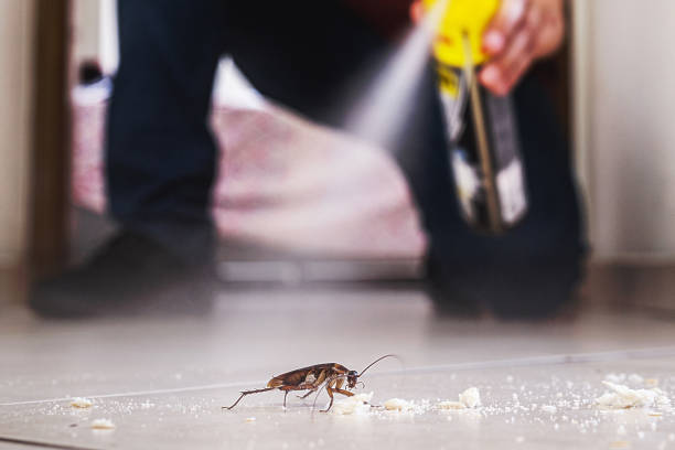 Best Residential Pest Control  in Tremont, IL